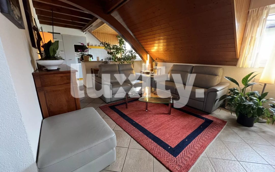Duplex de 3.5 pièces
